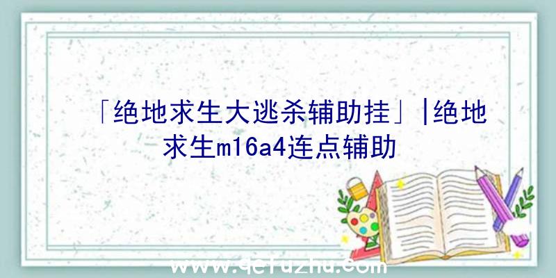 「绝地求生大逃杀辅助挂」|绝地求生m16a4连点辅助